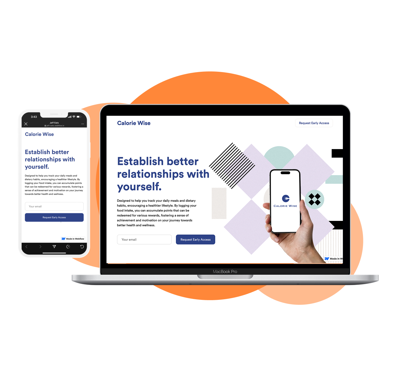 Calorie Wise fake front door landing page